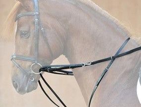 How To Attach A Bit To A Bridle